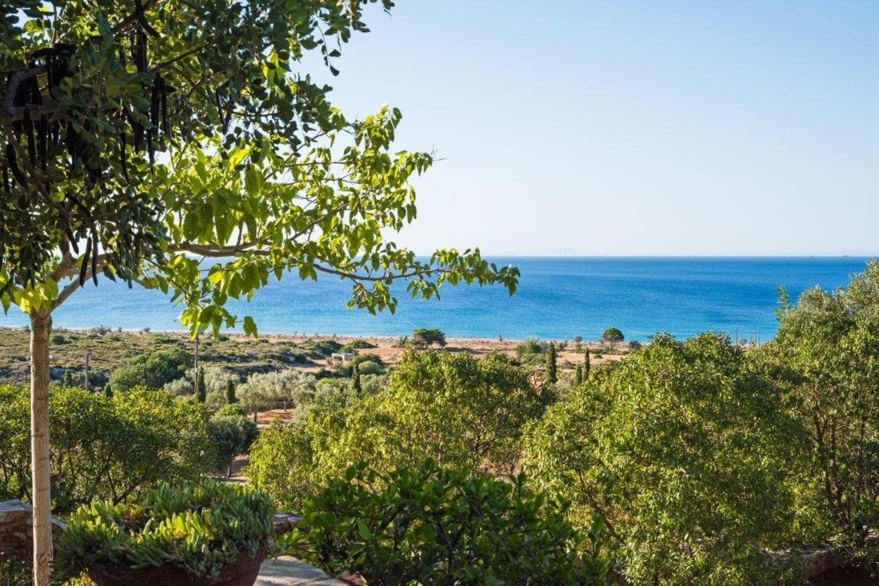 Villa Venus Avlemonas Exterior foto
